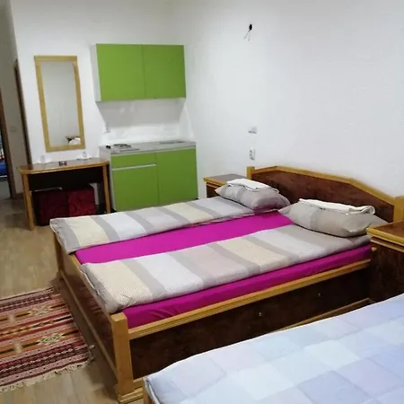 Prenociste Kod Cara- Kod Aerodroma Inn *